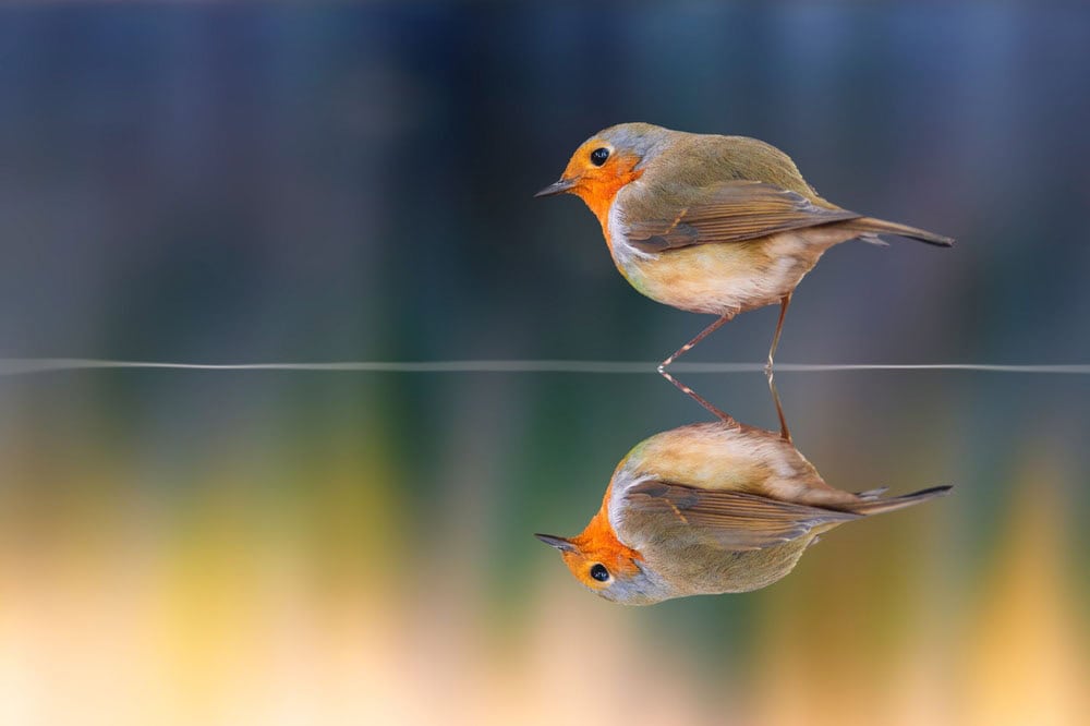 Advancement in Awareness